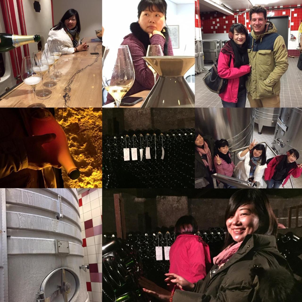 Les Suites Champenoises 틴쿠엑스 외부 사진